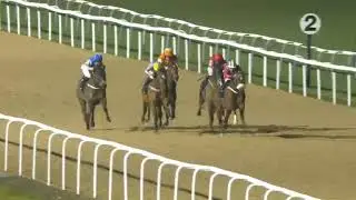 7 Race Southwell( EL HIBRI )30 Jan 2024