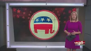 Meet the District 13 primary candidates