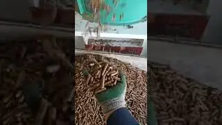 1.2-1.5t/h wood pellet machine in our customer workshop