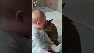 Animal Friends Watching Over a Baby