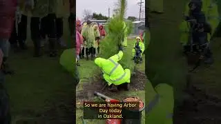 Rain or shine, Californians show up for Climate Action