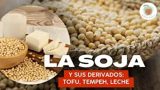 LA SOJA o SOYA y sus DERIVADOS: TOFU, TEMPEH, LECHE DE SOJA y TAMARI