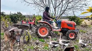 Village life“From Soil to Rice: Preparing the Field in the Countryside 🌾”