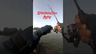 Kỹ thuật c&acirc;u Micro jigging #adocau #fishing #carpfishing #microjigging