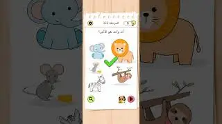 Brain test as level 355