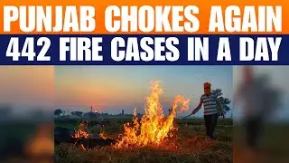 Stubble Burning Surge in Punjab | 442 New Cases in a Day | AQI Worsens Across Cities | News9