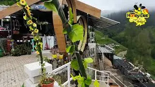 THE NATURE BROMO | RESTORAN & CAMPING GROUND | TOSARI PASURUAN