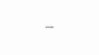 annular PRONUNCIATION