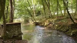 Wanderwege im Bergischen Land ( Video und Song) Gerd Weber