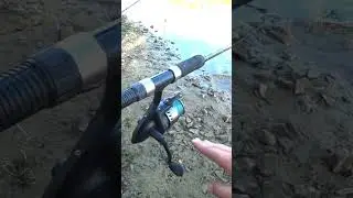 Фидерная снасть и оснастка на карася для начинающих!