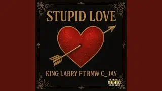 Stupid Love