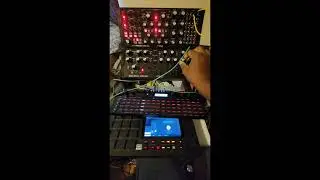 Synth Experiment: Korg SQ-64 and Moog DFAM Unite with Akai MPC Live