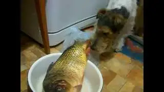 DSCN4303