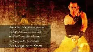 Master Martin Sewer - Learn DVD Clips - Interview with Grandmaster Chiu Chi Ling about his successor