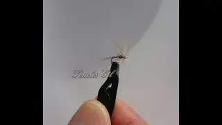 Bétido Garbanzo para mi amigo Tino Rubial