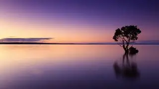THE DUCK SONG [Trap Remix] Cloud Tigerz Bass boost
