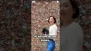 The Gum Wall 😳 | World&rsquo;s Grossest Tourist Spot #seattle #facts #usa  #travelshorts #washington