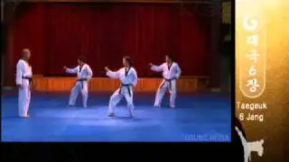 Grand Master Kyu Hyung Lee - WTF Taegeuk Yuk Jang