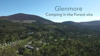 Glenmore Camping in the Forest site