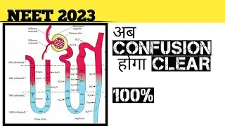 Excretory  system | Biology| Neet 2023 Counter current mechanism 3 min all confusion clear