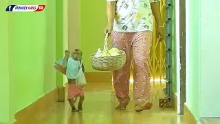 Adorable Monkey Kako Walking And Help Mom Carry Vegetable To Kitchen Room