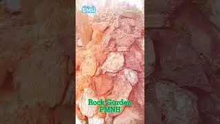 Rock Garden PMNH