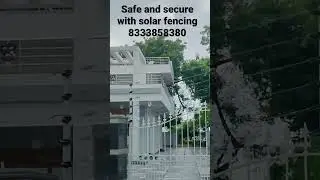 monkeys protection and solar fencing for home 🐒