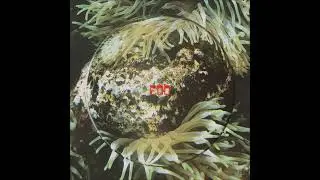 Valentino Mora &ndash; Solarized