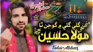 Gali Gali Me Gonjan Tha Mola Hussain Ja Nara - Tahir Abbas - Superhit Qasida Mola Hussain A.s - 2025