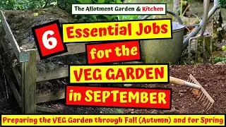 6 Essential Jobs for the Veg Garden/Allotment in September - Preparing the Veg Garden for Fall #130