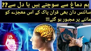 Medical Science Says Our Heart Have A Brain | Miracle Of Quran !!✅