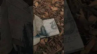 Книга по вселенной S.T.A.L.K.E.R. #stalker2 #stalker #книги #сталкер #сталкер2