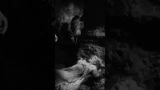 Best Scenes of Young Frankenstein - Part 25