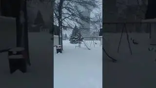 Winter Storm Gia