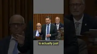 The Liberals 