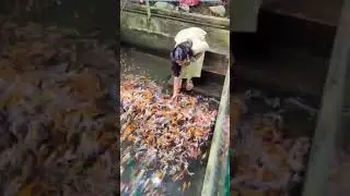 one word Happinesh short#edit video