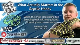 What Actually Matters in the Reptile Hobby