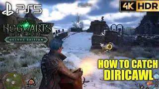 How to Catch Diricawl HOGWARTS LEGACY Diricawl Capture |PS5 Hogwarts Legacy Catching Beasts Location