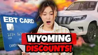 EBT Car Insurance Discount Wyoming: Low Income SNAP Food Stamp Benefits EBT Card Recipients