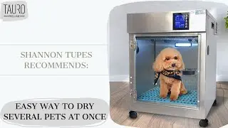 Shannon Tupes recommends: how to save time by drying a pet?