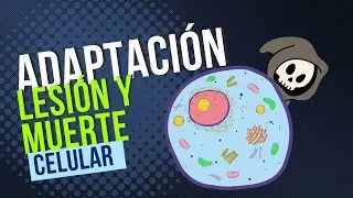 Emisi&oacute;n en directo - Adaptaci&oacute;n, lesi&oacute;n y muerte celular (reconecci&oacute;n)  - Patolog&iacute;a 2025B