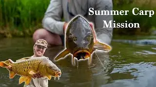 A Summer Carp Mission - Fly Fishing for Carp