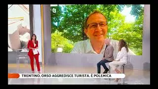 Diario del giorno - nuova aggressione dell'orso a Dro