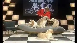 Carlo von Tiedemann - Hunde-TV 1985