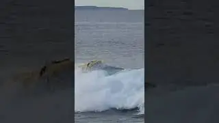 coastal fun