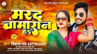 #vikash_rao - मरद चमरान हा - New Song 2024 Special #chamaran_Ji_Gana | Marad Chamaran Ha