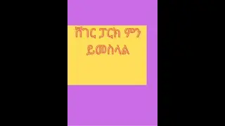 Addis Ababa City   ሸገር ፓርክ   Sheger Park