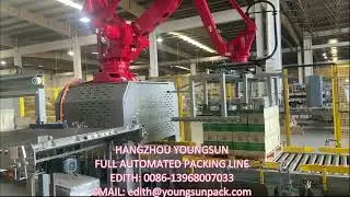 YS glass bottle packing line(palletizer)