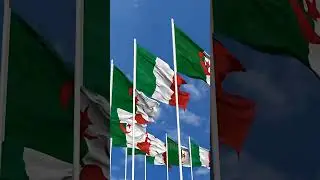 India and UAE vs Italy and Algeria #countries #edit #geography #comparison