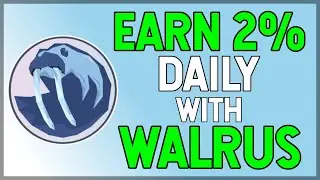EARN 2.5% Daily with Frozen Walrus Finance! (My Strategy)